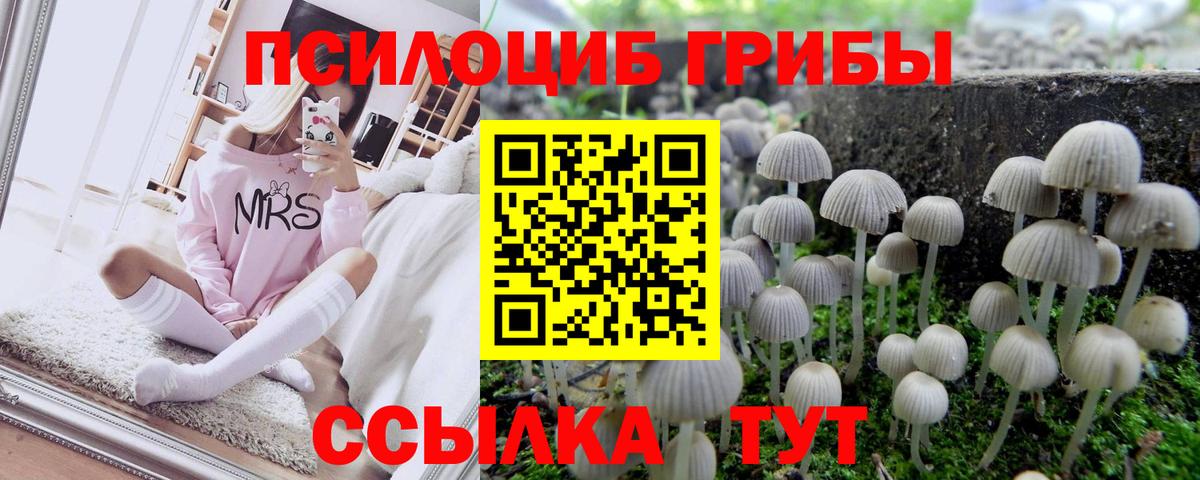 Галлюциногенные грибы прущие грибы Луга