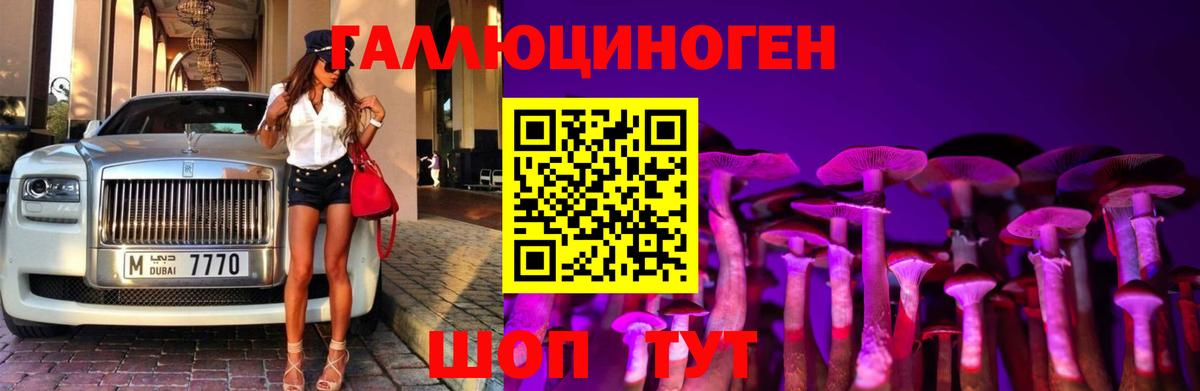 Псилоцибиновые грибы прущие грибы  Вход с VPN  купить   Луга 
